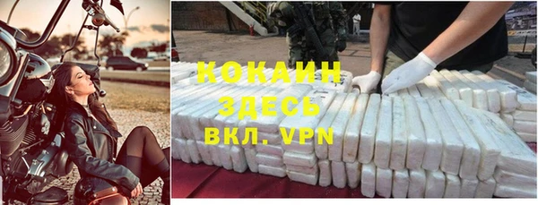 гидра Алексеевка